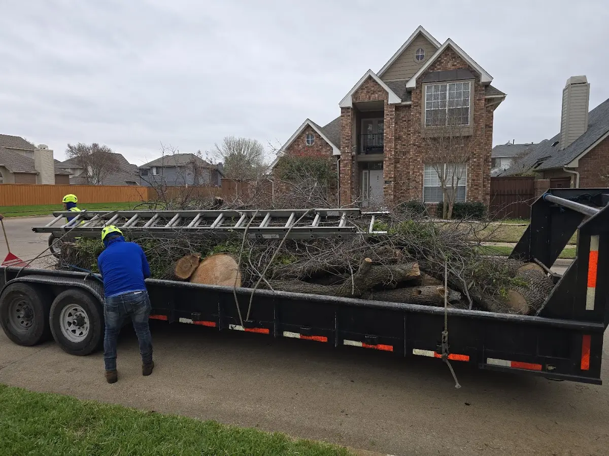 Expert Tree Fertilization with proper safety equipment in Port Carbon